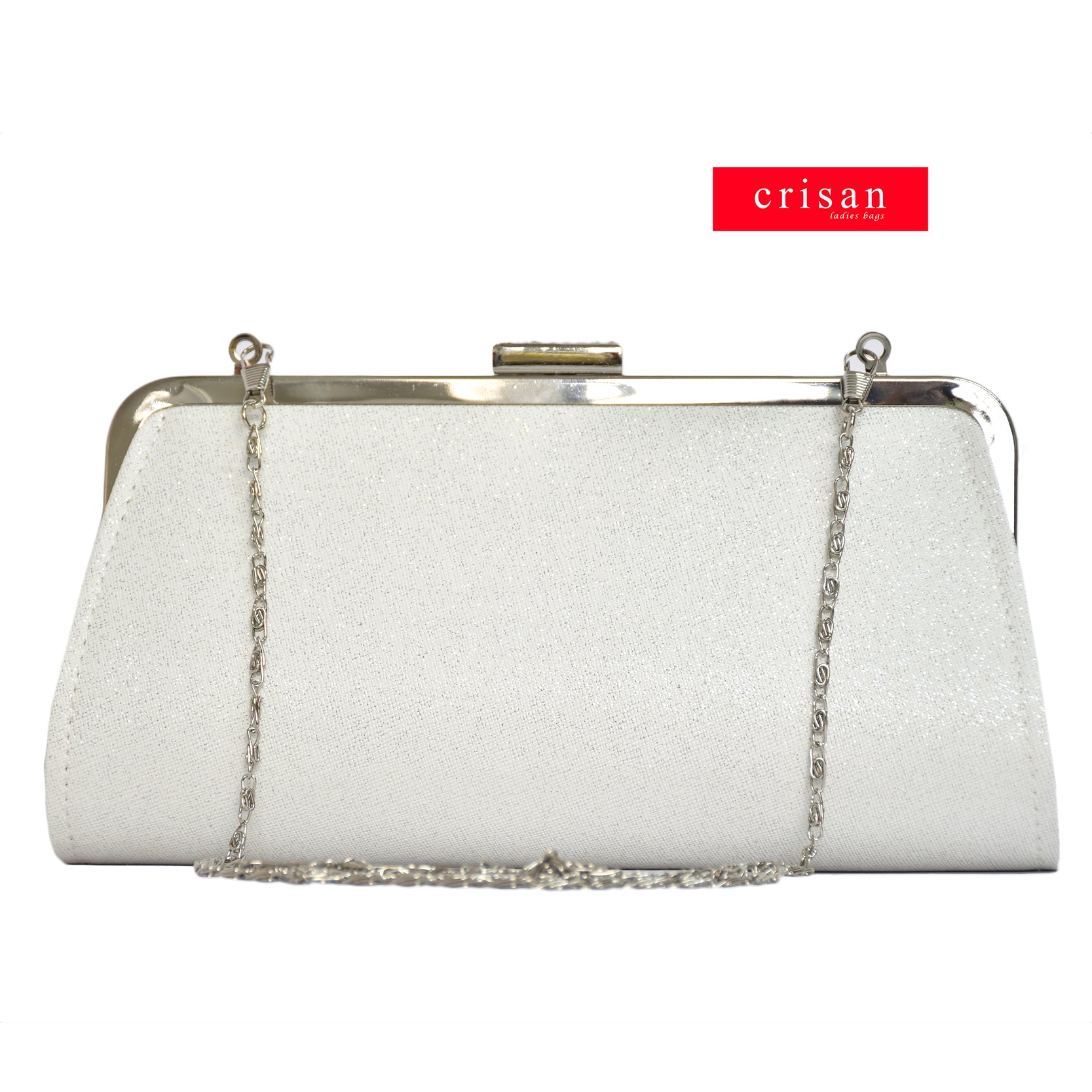 DIOR EVENING BAG