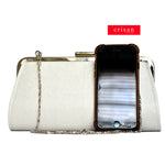 DIOR EVENING BAG