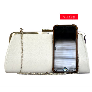 DIOR EVENING BAG