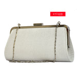 DIOR EVENING BAG