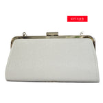 DIOR EVENING BAG