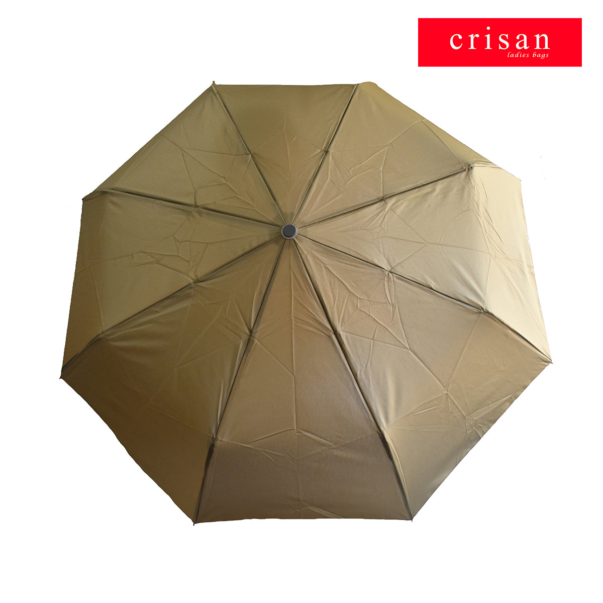 AUTOMATIC UMBRELLA